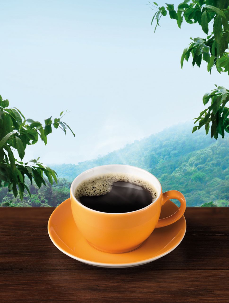 Plantagen Kaffee, gemahlen