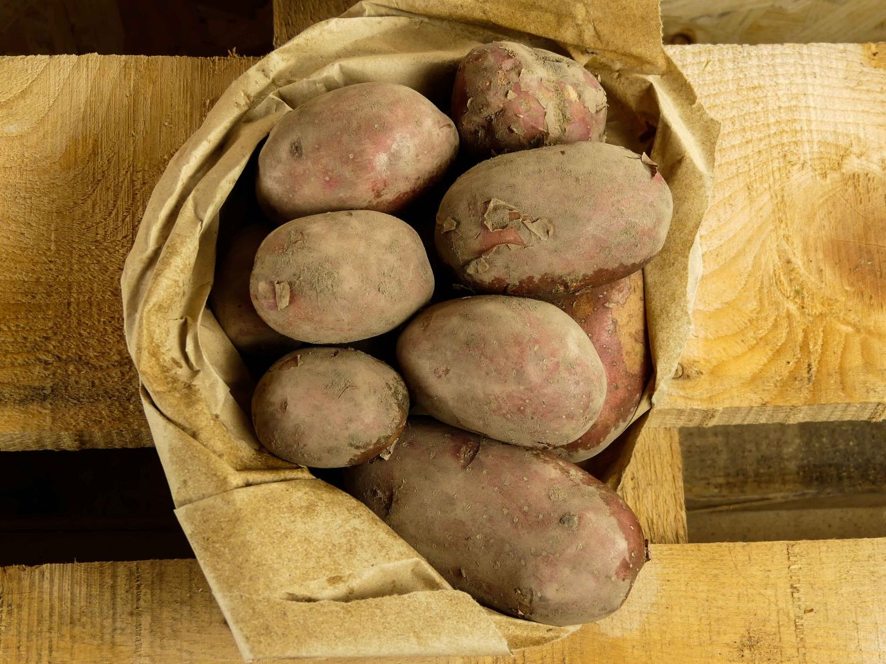 Frühkartoffeln (vorwiegend festkochend)