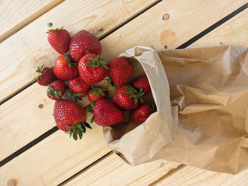 Erdbeeren