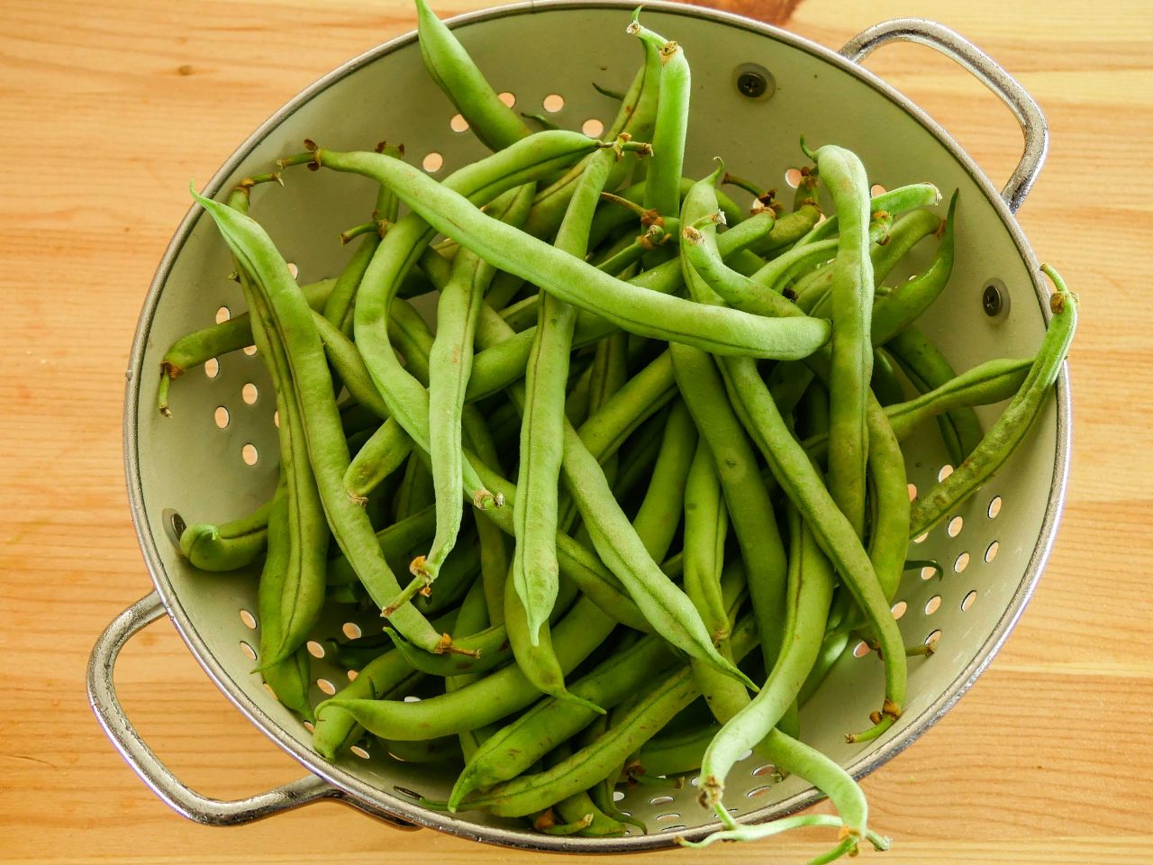Buschbohnen